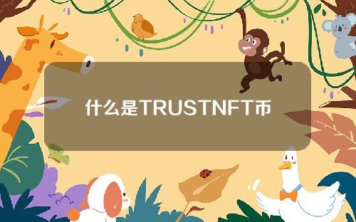 什么是TRUSTNFT币(一篇关于TRUSTNFT币的文章)