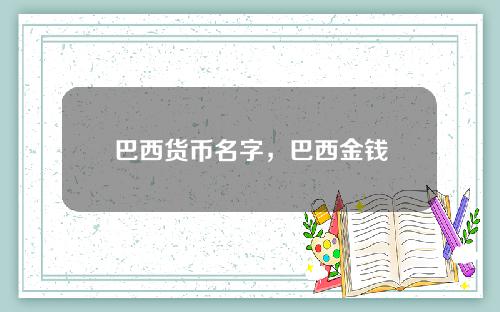 巴西货币名字，巴西金钱