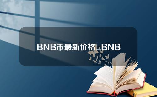 BNB币最新价格_BNB币发行价格_BNB币行情走势