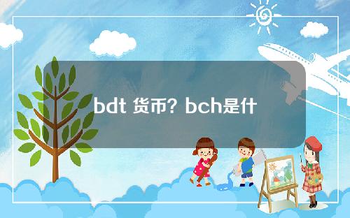 bdt 货币？bch是什么币种