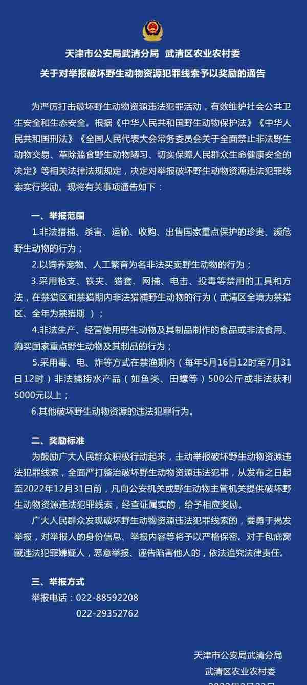 @天津人，举报这类犯罪线索有奖励