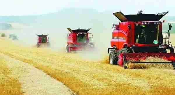 中国农业发展的未来战略：大农业 大食物 大格局 大品牌