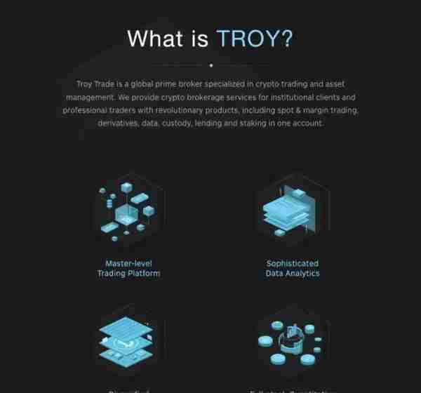 TROY项目割韭菜内幕大曝光，投资者们需警惕