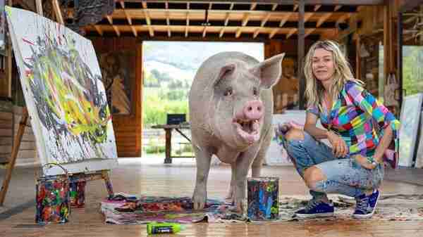 南非有一头叫猪卡索的猪，画了一幅画，卖了近17万人民币